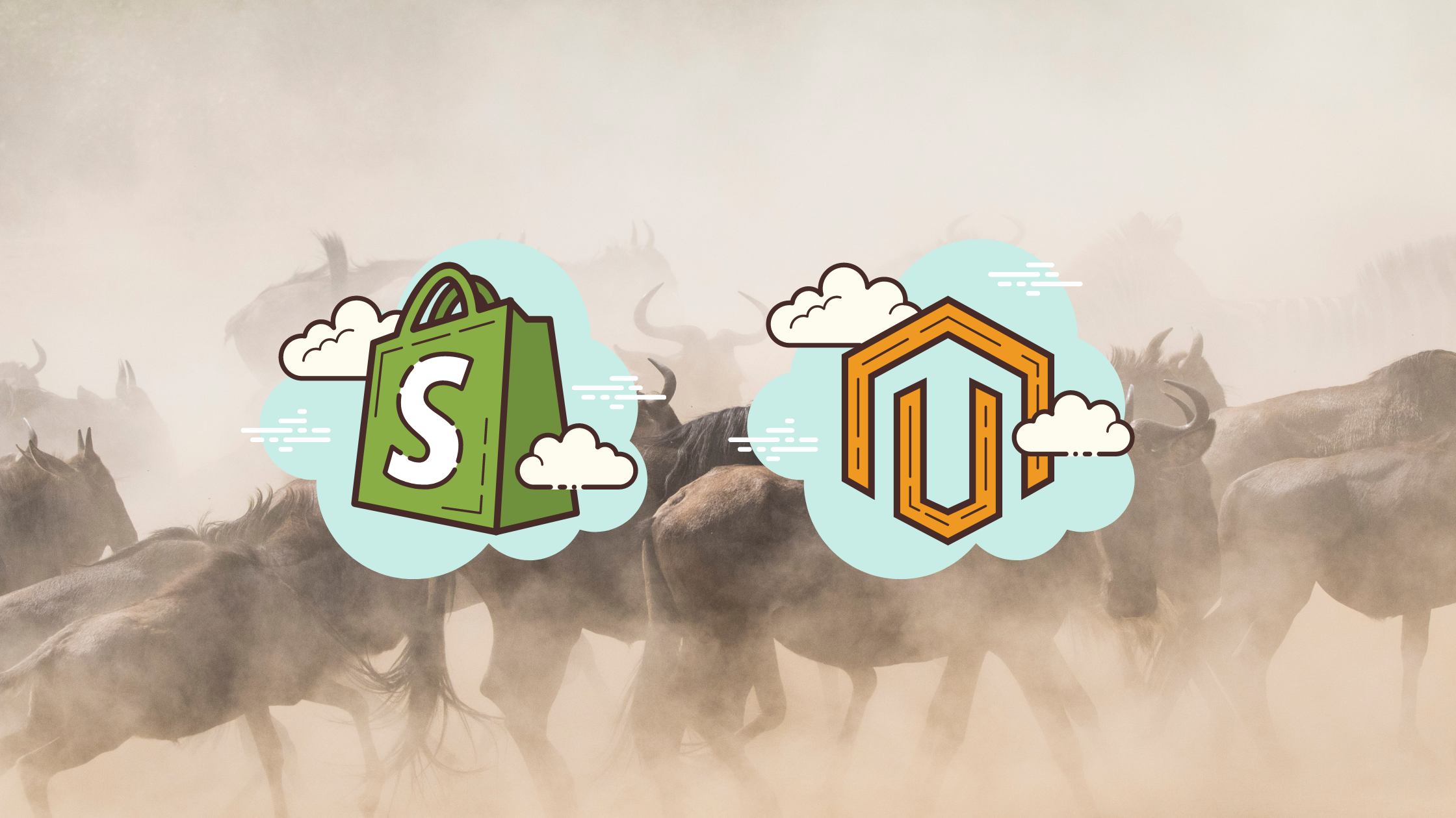 5 Things to Know Before Migrating to Shopify or Magento